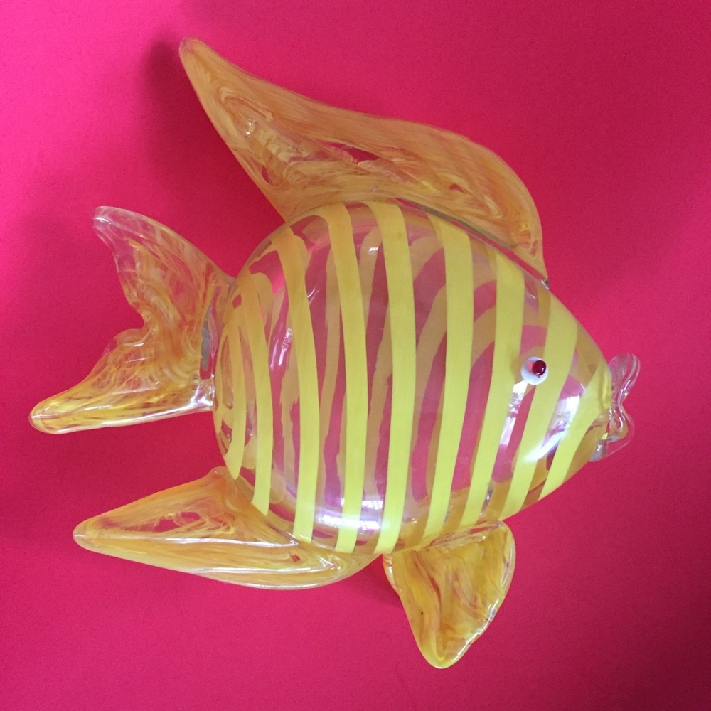 Glass 🐠 fish